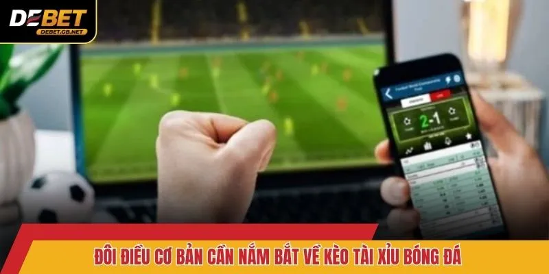 Đôi điều cơ bản cần nắm bắt về kèo tài xỉu bóng đá